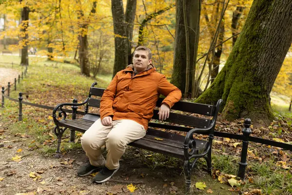 30 'lu yaşlarda genç bir adam sonbahar parkında bankta tek başına oturuyor. Yaşamı düşünüyorum. Doğada yalnız zaman geçirmek.