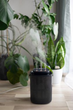 Evdeki modern nemlendirici, içerideki Monstera bitkileriyle çevrili kuru havayı nemlendiriyor. Nemlendirme, rahat yaşam koşulları konsepti. Yayıcı, nemlendiricili daire.