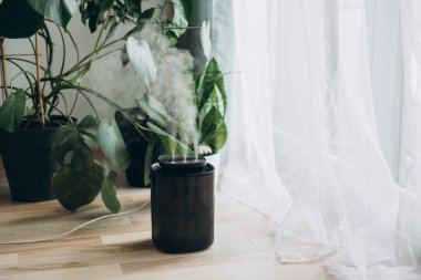 Evdeki modern nemlendirici, içerideki Monstera bitkileriyle çevrili kuru havayı nemlendiriyor. Nemlendirme, rahat yaşam koşulları konsepti. Yayıcı, nemlendiricili daire.