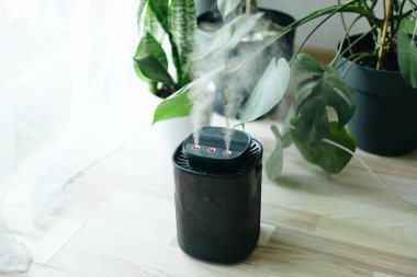 Evdeki modern nemlendirici, içerideki Monstera bitkileriyle çevrili kuru havayı nemlendiriyor. Nemlendirme, rahat yaşam koşulları konsepti. Yayıcı, nemlendiricili daire.