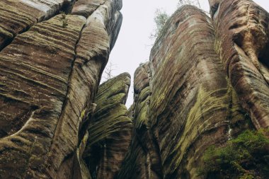 Çek Cumhuriyeti 'nin Adrspach şehrinde bir rock şehri. Kum taşının dokusu, Ulusal Park Adrspach Teplice sallanıyor