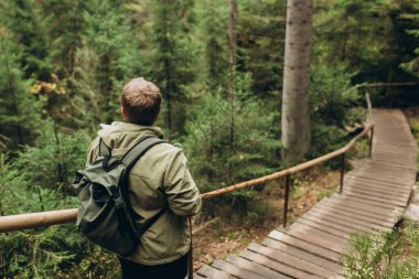 30 'lu yaşlarda doğa yürüyüşü yapan genç bir adam. Seyahat, macera. Aktif yaşam tarzı kavramı. Yüksek kalite fotoğraf. Arkadan bak. Sonbahar yürüyüşçüsü doğa ormanında..