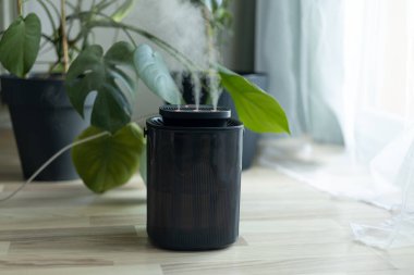 Evdeki modern nemlendirici, içerideki Monstera bitkileriyle çevrili kuru havayı nemlendiriyor. Nemlendirme, rahat yaşam koşulları konsepti. Yayıcı, nemlendiricili daire.
