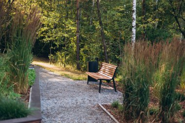 Boş park bankı, yemyeşil çimlerle çevrili..