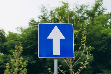 Tek yönlü trafik işareti, doğa arka planında izole edilmiş yol tabelası..