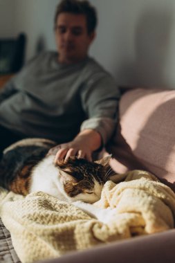Erkek eli nazikçe kedisini kürkünde okşar. Bir kedi ve bir insan arasındaki ilişki. Seçici odaklanma. Kedileri ve insanları severim. İlişki, sansar..
