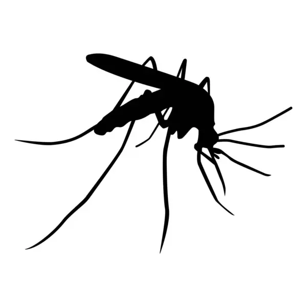 Sivrisinek grafik ikonu. Sivrisinek siyah silueti beyaz arka planda izole edilmiş. Vektör illüstrasyonu