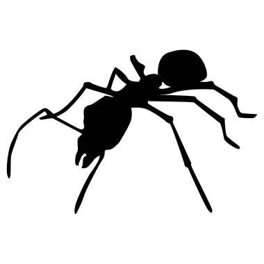 Siluet siyah karınca beyaz bir arka planda izole edilmiş, etrafımızda sıkça görülen ve hijyen eksikliği nedeniyle ortaya çıkan bir böcek..