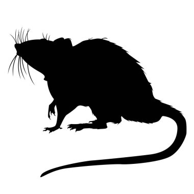 Arka planda izole edilmiş modayı takip eden fare ya da fare simgesi. Web siteniz için fare simgesi simgesi tasarımı Mouse simgesi logosu, uygulama, UI. Fare simgesi Vektör illüstrasyonu, EPS10.