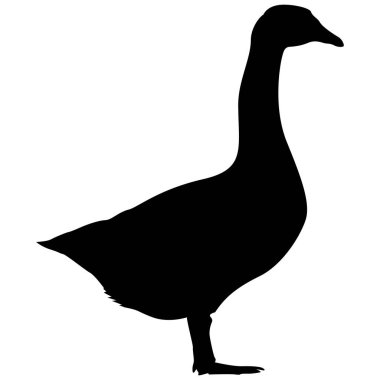 Zarif Kuğu, Kaz ya da Ördek Silueti Vektör Çizimi Duvar Kağıdı, Simgesi ya da Beyaz Üzerine Düzenlenebilir ve Ölçeklenebilir EPS için Basit Tasarım