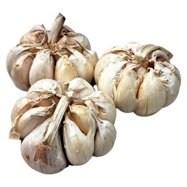 Beyaz Arkaplanda tam sarımsaklı ampul, Latince adı Allium Sativum olan soyulmamış taze sarımsak, Yemek pişirmek için organik baharat, bitkisel ilaç ve doğal ilaç.