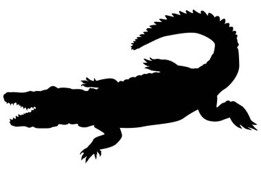 Beyaz arka planda timsah silueti vektör çizimi izole edildi. Simgeler, logolar, işaretler, çıkartmalar ve şablonlar için mükemmel. Tasarım için düzenlenebilir ve ölçeklenebilir EPS dosyası.