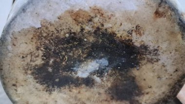 Grunge Yanmış Yüzey Dokusu, Tasarım İçin Karanlık Soyut Arkaplan, Yüksek Çözünürlüklü Makro Görüntü, Sert ve Yaşlanmış Düzen, Yaratıcı Projeler İçin İdeal