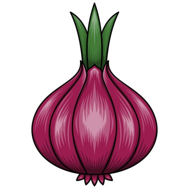 EPS Biçiminde Taze Şalgam 'ın Kırmızı Soğan Sebze Simgesi Düz Vektör İlülasyonu, Etiketler, Şablonlar, Makyajlar, Arkaplan ve Aşçılık Tasarımları İçin Mükemmel