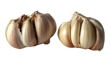 Beyaz arka planda izole edilmiş sarımsak soğanları, kuru kağıt derili taze organik sarımsak başları, aşçılıkta baharat olarak kullanılır, geleneksel bitkisel ilaç, sağlıklı besin maddesi.