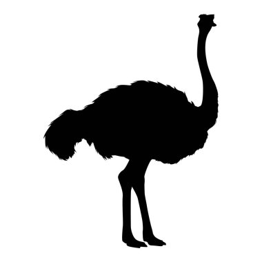 Devekuşu Tarafı Görünümü Siluet Vektör İllüzyonu Beyazda İzole Edildi. Modern Minimalist Devekuşu Simgesi, Logo, Sembol Şablonu. Kesim ve Çıkartma İçin Düzenlenebilir EPS