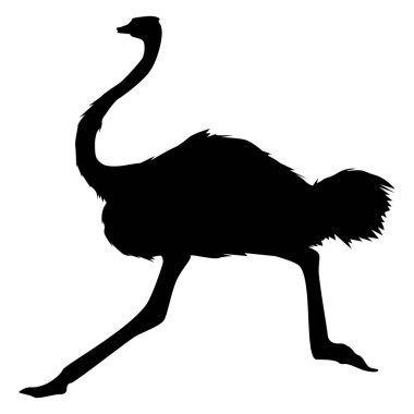 Beyaz Arkaplanda Minimalist Siyah Devekuşu Sanatı, Çağdaş Grafik Tasarımı için ideal