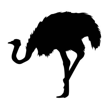 Dijital ve Yazdırma Ortamı, Temiz İzole Tasarım için Dinamik Siyah ve Beyaz Devekuşu Kuş Vektör Sanatı