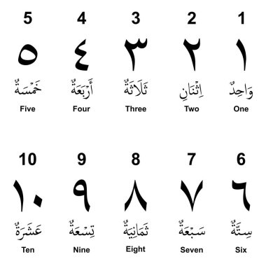Beyaz EPS 'te İzole Edilmiş Öğrenim Malzemeleri Sayımı İçin İngilizce ve Arapça Sayıların Eğitimsel Vektör İlülasyonu