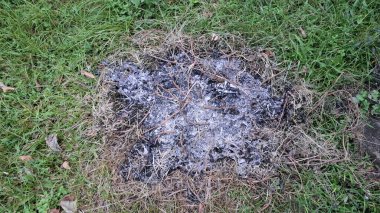 Vahşi Yangından Sonra Kül ve Kömürleşmiş Toprak 'a yakın çekim, Dikkatsiz İnsan Faaliyetinin neden olduğu Orman Yangını Sonrası