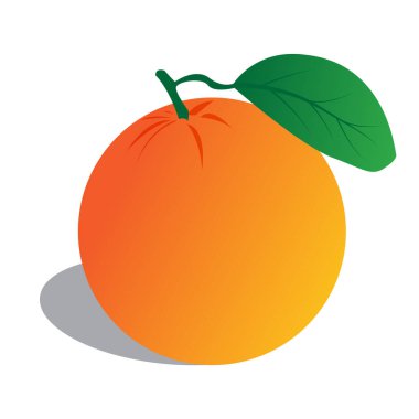 Portakal ve portakal dilimleri. Portakalların vektör çizimi. Tamamen düzenlenebilir el yapımı ağ.