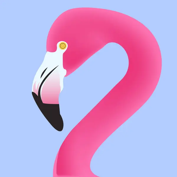 Pembe flamingo vektör çizimi arka planda izole edildi.