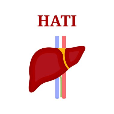 Human liver icon. Flat illustration of human liver vector icon for web design clipart