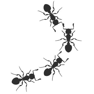 Karınca kolonisinin silueti. Hata hayvan tasarımı vektör çizimi beyaz arkaplanda izole edildi