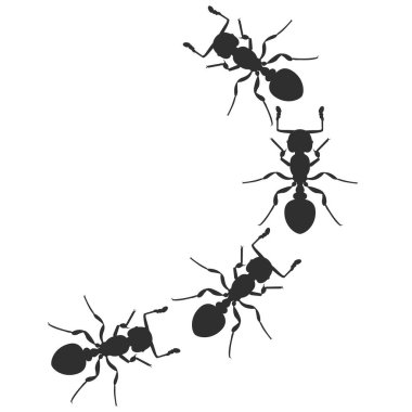 Karınca kolonisinin silueti. Hata hayvan tasarımı vektör çizimi beyaz arkaplanda izole edildi