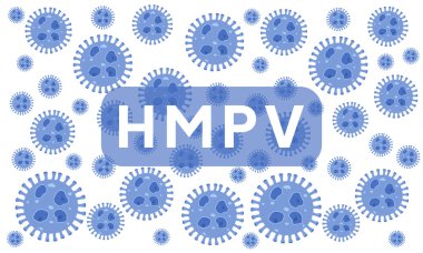 HMPV virüs pankartı, İnsan Metapneumovirüs solunum virüsü taşıyıcısı, HMPV virüsü salgını, hücresel çevre vektörü arka planında yüzen virüs