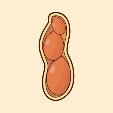 Vektör çizimi, bütün ve soyulmuş fıstıklar, kahverengi arka planda izole edilmiş..