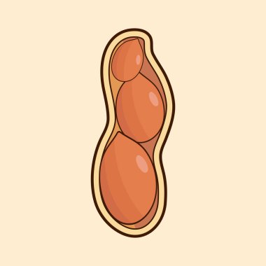 Vektör çizimi, bütün ve soyulmuş fıstıklar, kahverengi arka planda izole edilmiş..