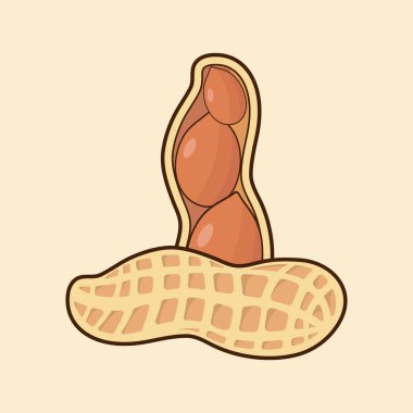 Vektör çizimi, bütün ve soyulmuş fıstıklar, beyaz arka planda izole edilmiş..