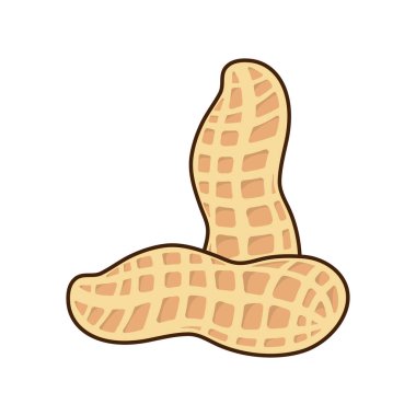 Beyaz arka planda izole edilmiş lezzetli fıstık, düz stil vektör çizimi.