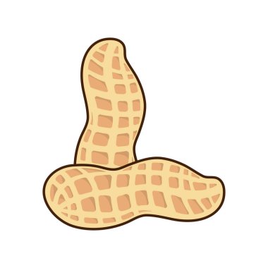 Beyaz arka planda izole edilmiş lezzetli fıstık, düz stil vektör çizimi.