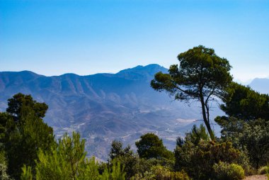 İspanya, Alicante yakınlarındaki dağlarla ve çam ağaçlarıyla resmedilmiş manzara..