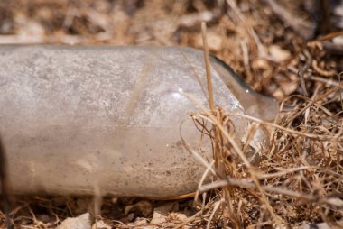 Çimlerde eski çöp (cam şişe). Çevre kirliliği