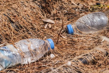 Çimlerde eski plastik çöp (şişe). Çevre kirliliği