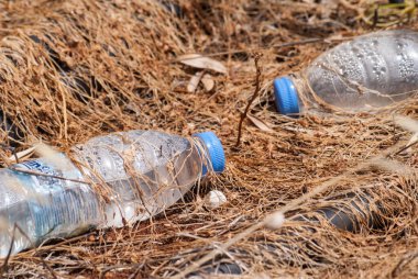 Çimlerde eski plastik çöp (şişe). Çevre kirliliği