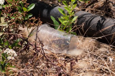 Eski çöpler (plastik bardaklar) çimenlerde. Çevre kirliliği