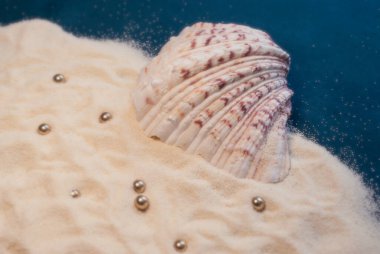 Kum üzerinde büyük deniz kabuğu ve altın boncuklu mavi arka plan. Yaz havası