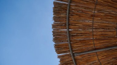 Kıbrıs Rum Kesimi 'nin Pissouri sahilinde sarı kamış saman şemsiyesi ve mavi gökyüzünün soyut fotoğrafı. Kopyalama alanı ve arkaplan