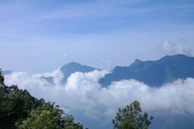 Hindistan, Munnar 'daki çay plantasyonlarıyla dolu yüksek rakımlı dağlarda yoğun bulutlar dolaşıyor..