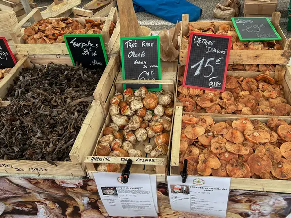 Le Lavandou, Fransa - 24-OCT-2024. Çiftçi pazarında satılık mantar çeşitleri. Chanterelles, blowit, grisette, Yellowfoot, karnabahar mantarı, peri yüzüğü ve sezar mantarı, lezzetli süt başlığı
