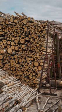 Devasa ağaç kütükleri, doğal ahşap arka plan, ihracat için kereste kereste depolama endüstrisi, kontrplak, gezegenin ormansızlaşması..., 