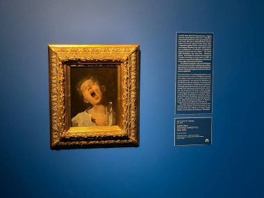 Budapeşte, Macaristan - 10 Mart 2025: Dünya çapında sansasyon yaratan Mihaly Munkacsy 'nin sanat sergisini ziyaret etmek. Macar bir sanatçının sanat koleksiyonu. Esneme Çırağı