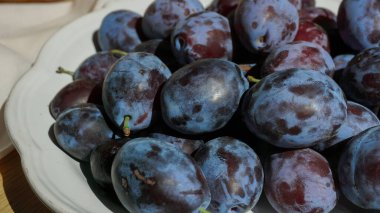 Ahşap bir yüzeyde beyaz bir seramik kasede taze eriklerin yakın çekimi. Yaz hasadı yumuşak doğal ışıkla aydınlatıldı.