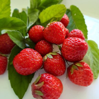 beyaz zemin üzerinde yaprakları ile taze çilek