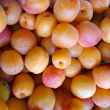 Kayısı; pek çok sulu meyve iştah açıcı görünüyor Ağaçtan yeni koparılmış taze kayısılar