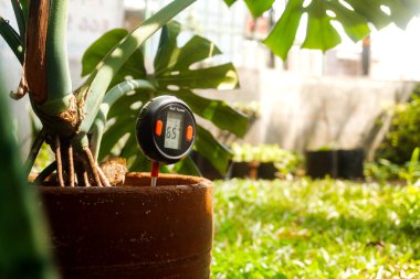 Toprakta pH ölçer testi. Dijital cihazla toprak asitliğini ve nemi ölçün  